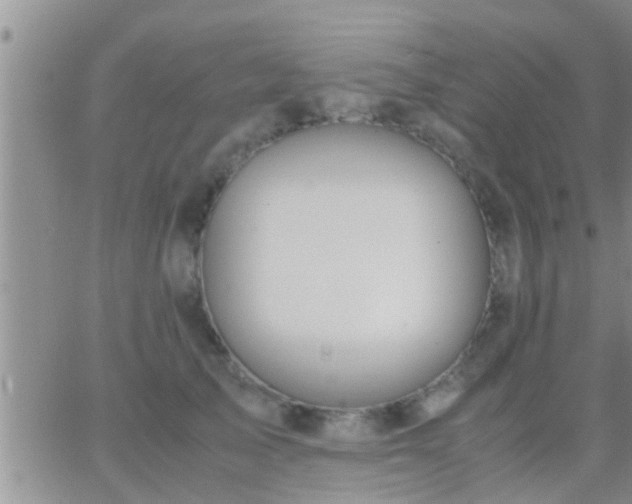 X0000065250705200602242050