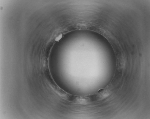 X0000065250706200602242050