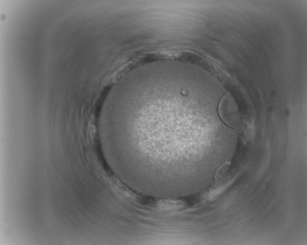 X0000065250707200602242050