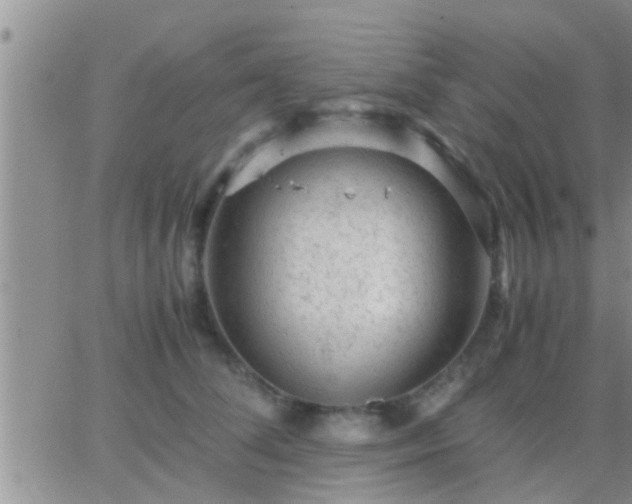 X0000065250708200602242050