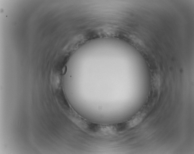 X0000065250709200602242050