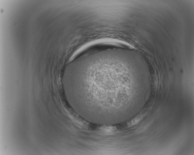 X0000065250711200602242050