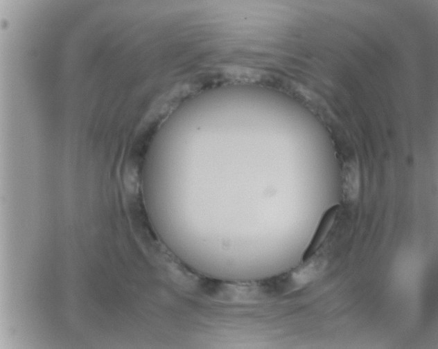 X0000065250713200602242050