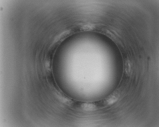 X0000065250714200602242050