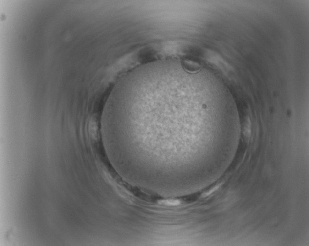 X0000065250715200602242050