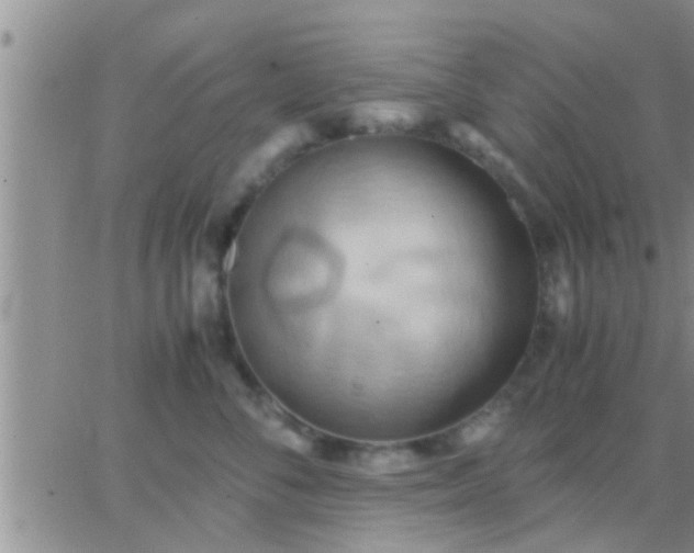 X0000065250716200602242050