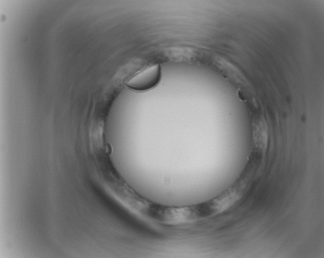 X0000065250717200602242050