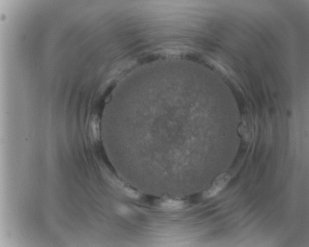 X0000065250718200602242050