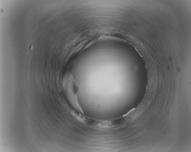 X0000065250720200602242049