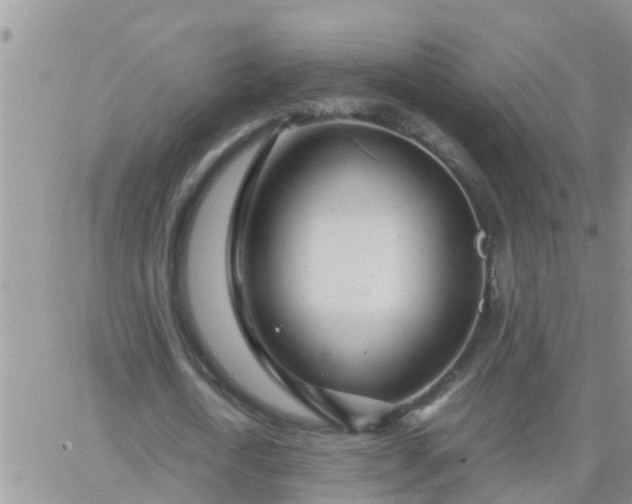 X0000065250722200602242049