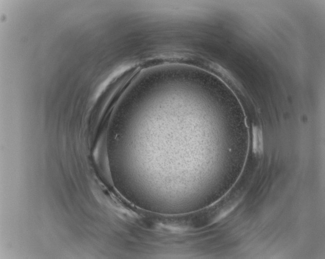 X0000065250723200602242049