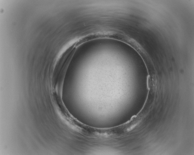 X0000065250726200602242049