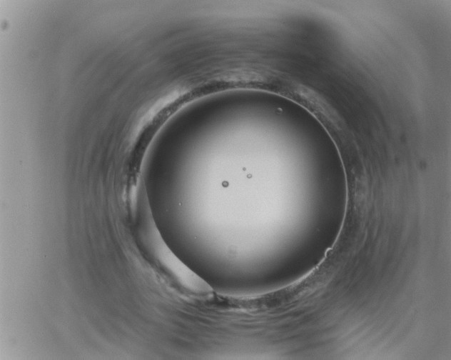 X0000065250727200602242049