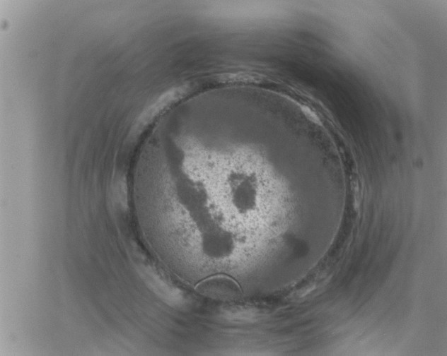 X0000065250729200602242049