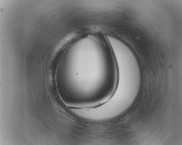 X0000065250731200602242049