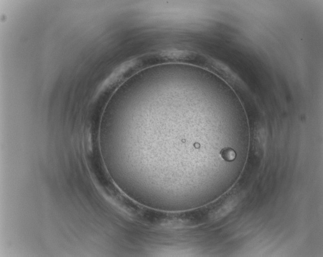 X0000065250734200602242049