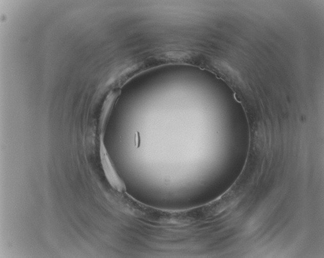 X0000065250739200602242049