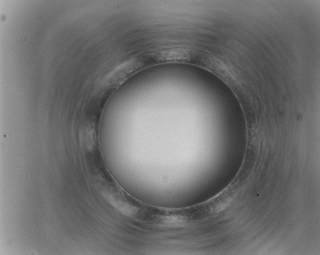 X0000065250741200602242049