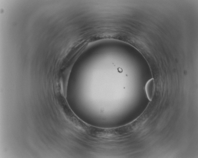 X0000065250743200602242049