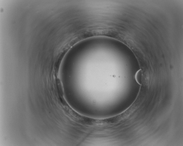 X0000065250746200602242049