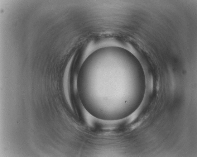 X0000065250750200602242049