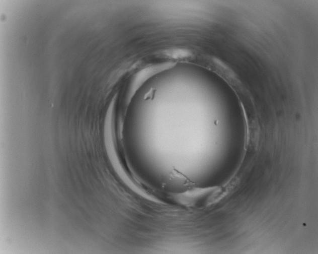 X0000065250762200602242049