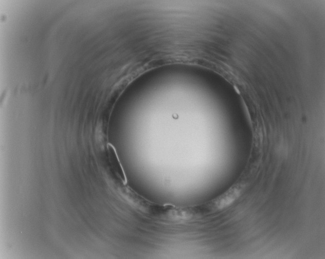 X0000065250764200602242049