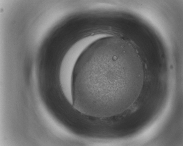 X0000065250765200602242049