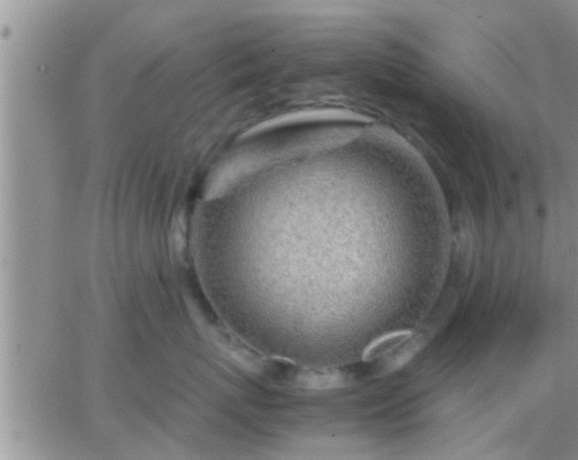 X0000065250767200602242049