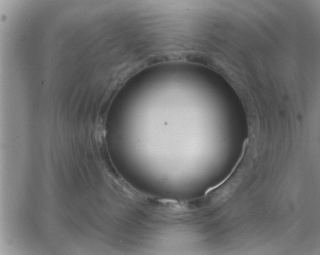 X0000065250768200602242049