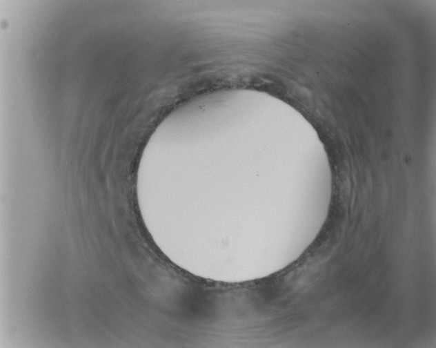 X0000065250769200602242049