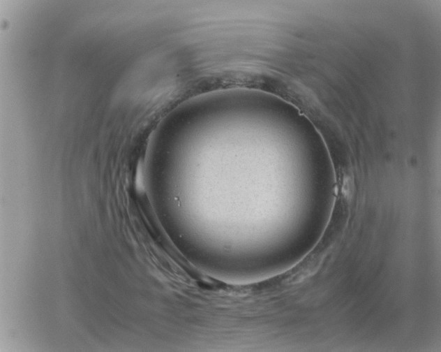 X0000065250771200602242049