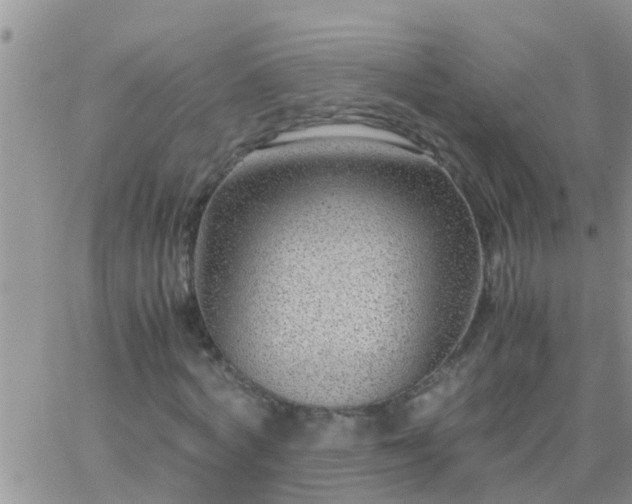 X0000065250772200602242049