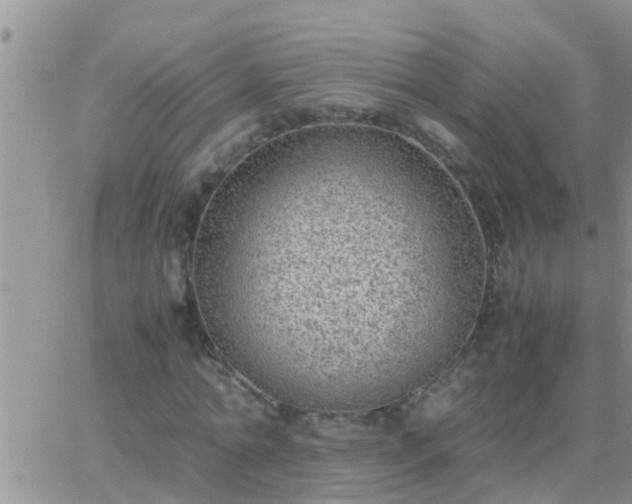 X0000065250774200602242049