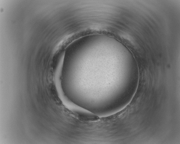 X0000065250776200602242049