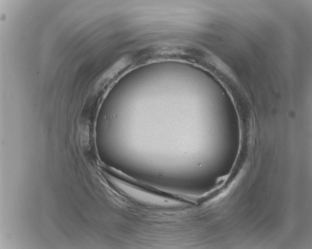 X0000065250777200602242049