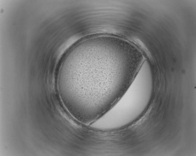 X0000065250780200602242049