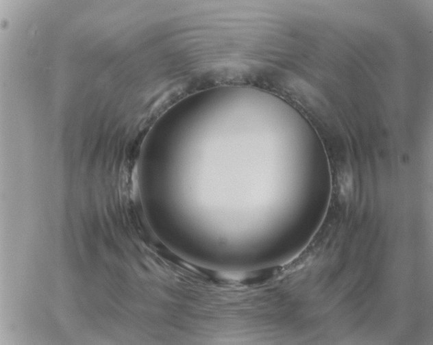 X0000065250964200602242045