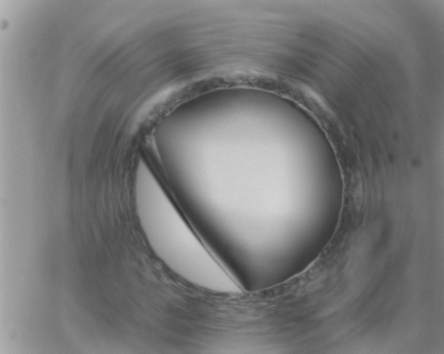 X0000065251016200602242044