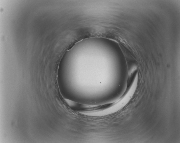 X0000065251153200602242042