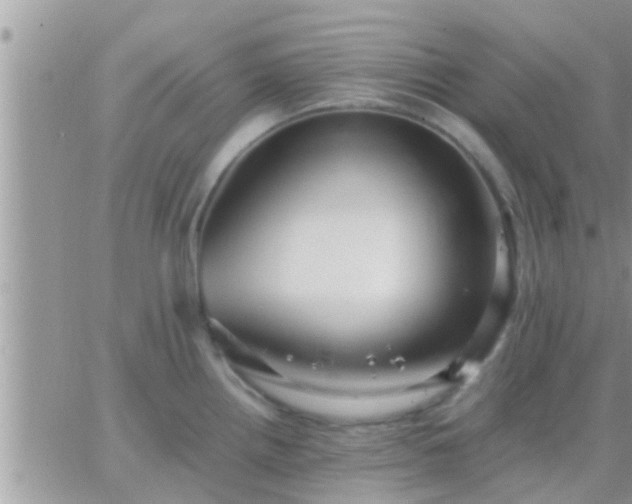 X0000065251242200602242042