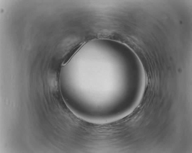 X0000065251252200602242041