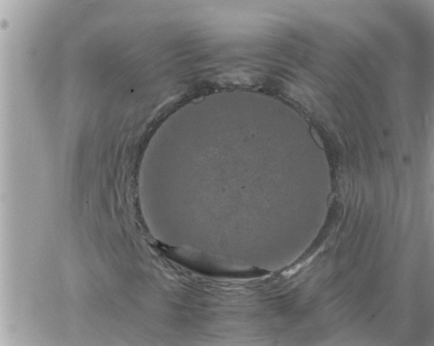 X0000065251297200602242039