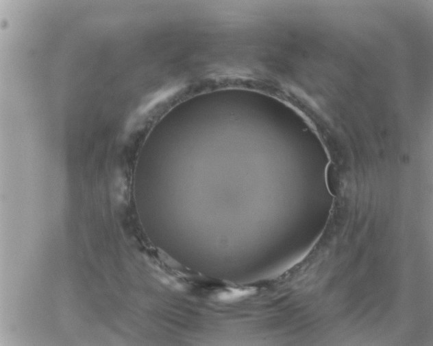 X0000065251303200602242039