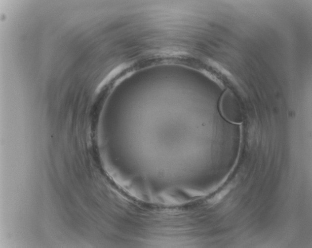 X0000065251306200602242039