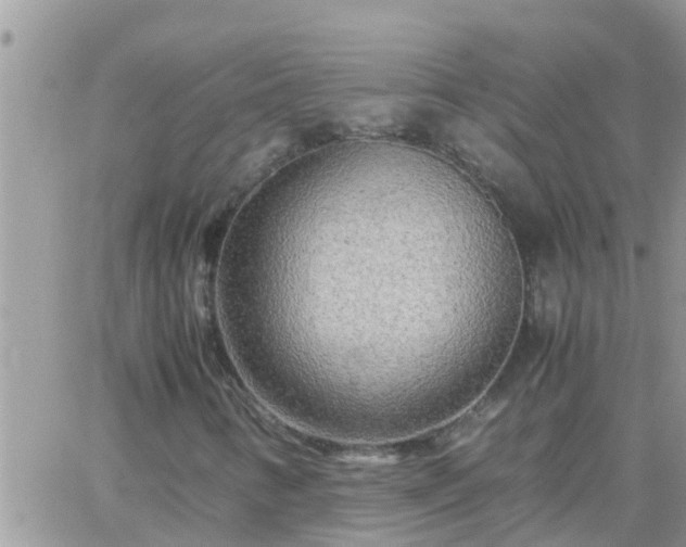 X0000065251346200602242039