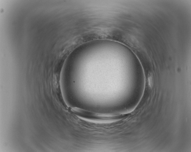 X0000065251347200602242039