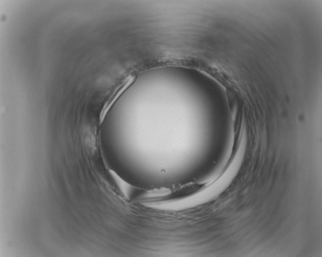 X0000065251348200602242039
