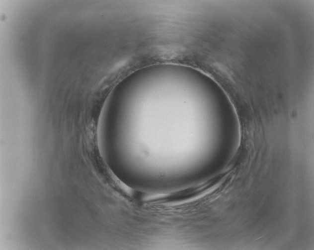 X0000065251349200602242039