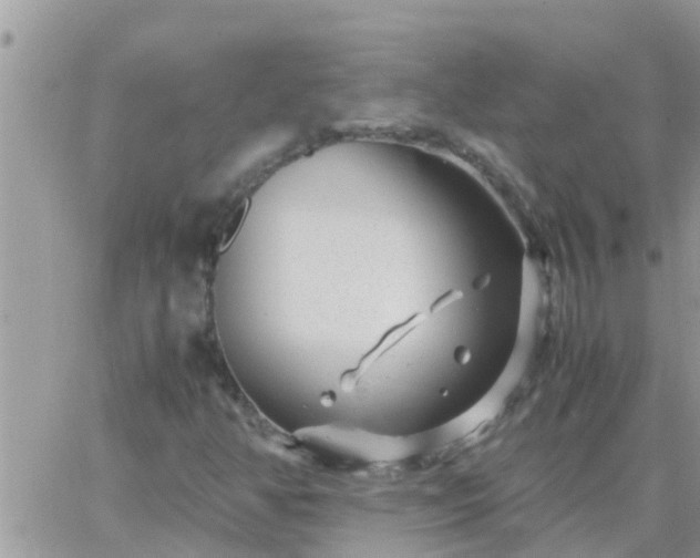 X0000065251350200602242039